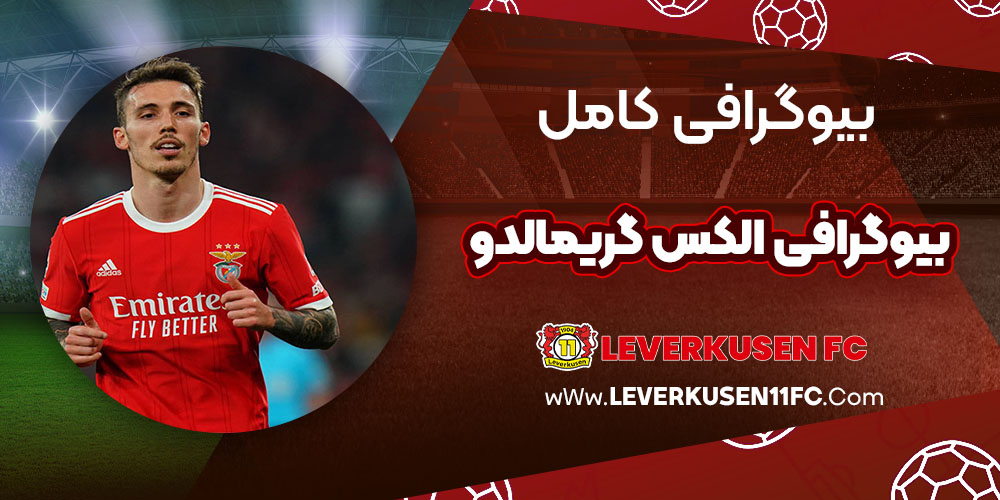 بیوگرافی کامل الکس گریمالدو