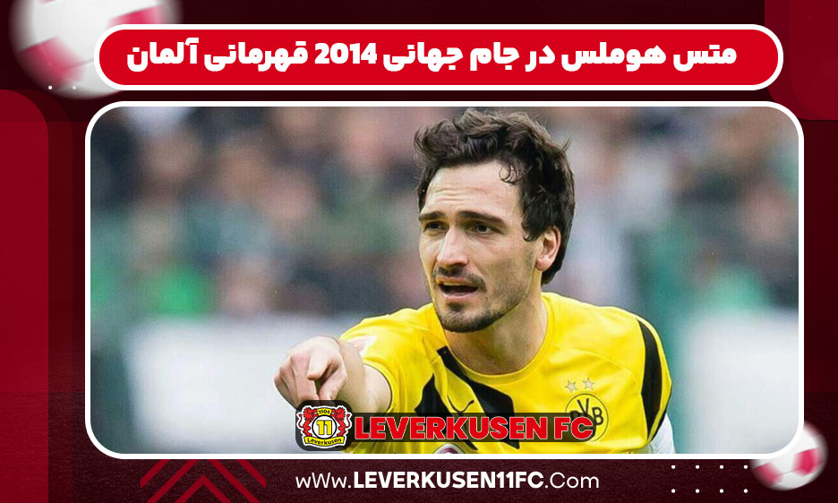 متس هوملس در جام جهانی 2014 (قهرمانی آلمان):