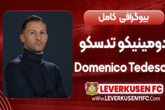 Domenico-Tedesco-biography