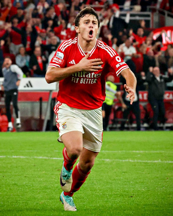 wallpaper hd joao neves