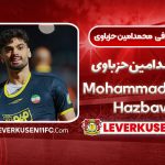 بیوگرافی محمد امین حزباوی