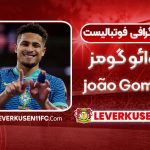 ژوائو گومز