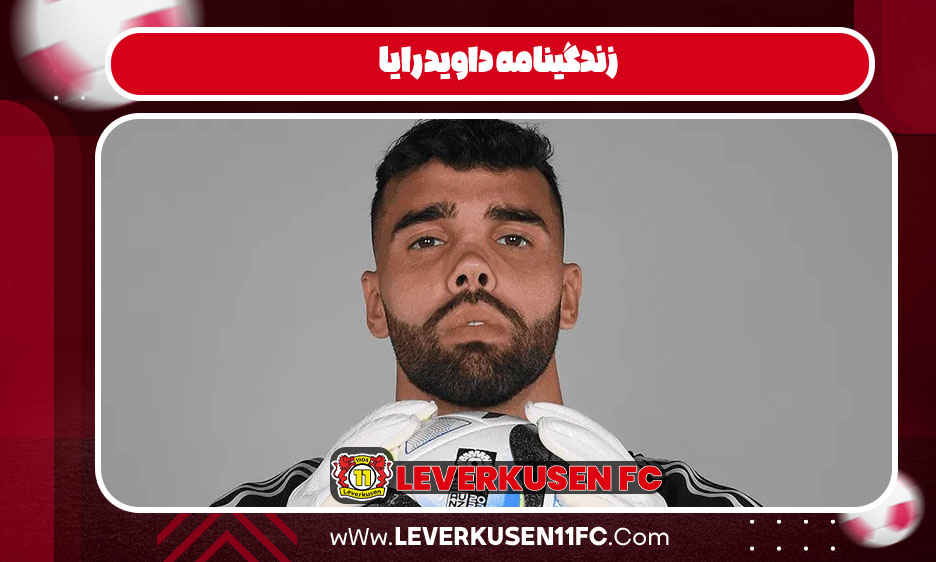 زندگینامه داوید رایا