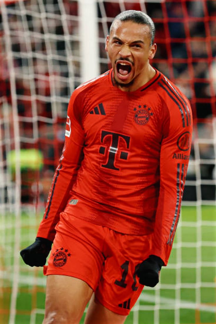 wallpaper Sane