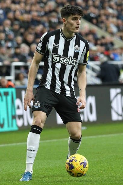 wallpaper Tino Livramento