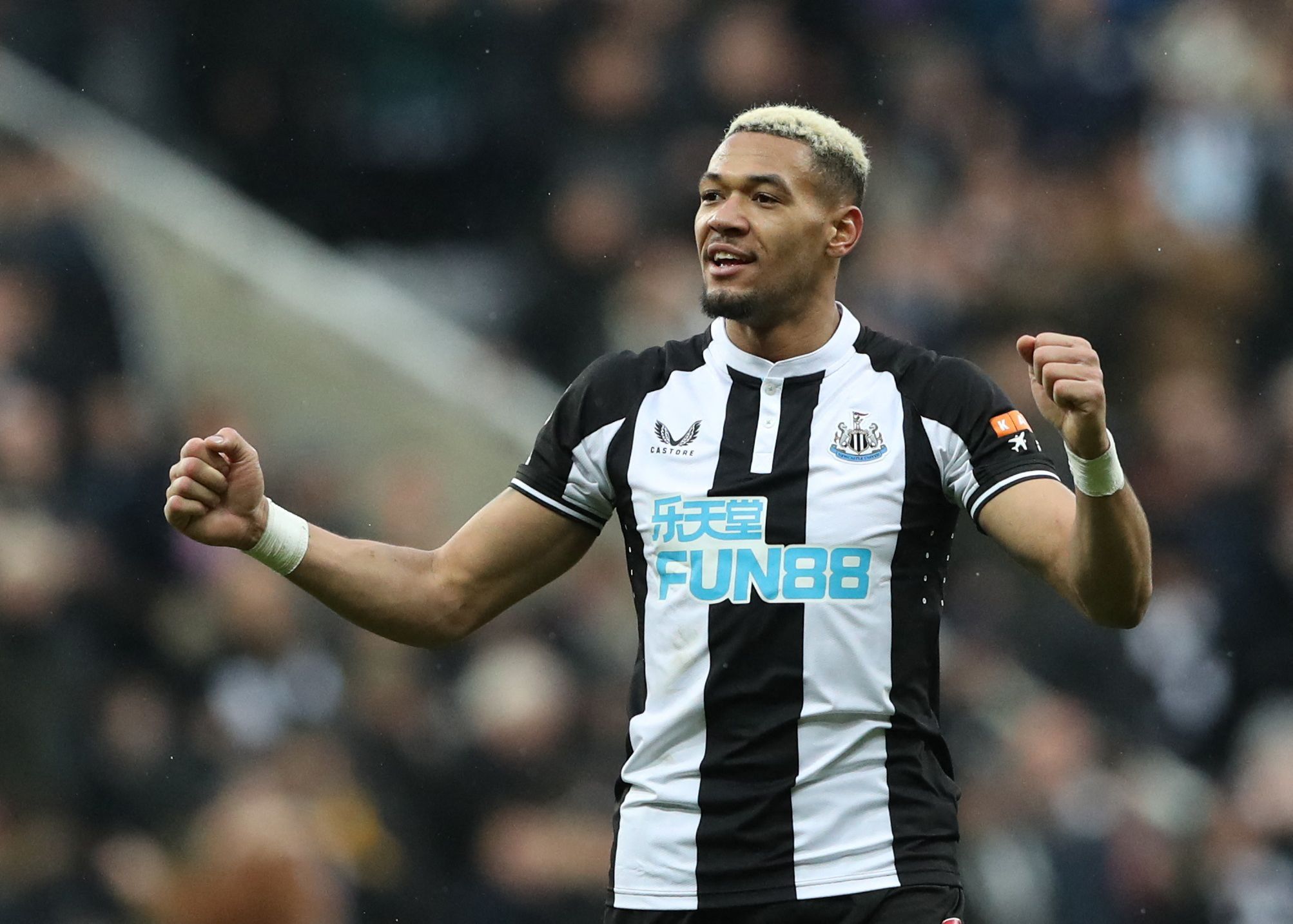 wallpaper Joelinton