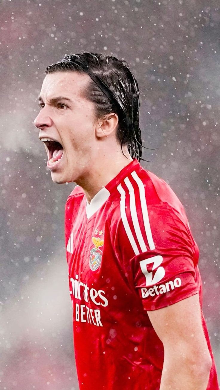 آلوارو کارراس والپیپر آلوارو کارراس والپیپر