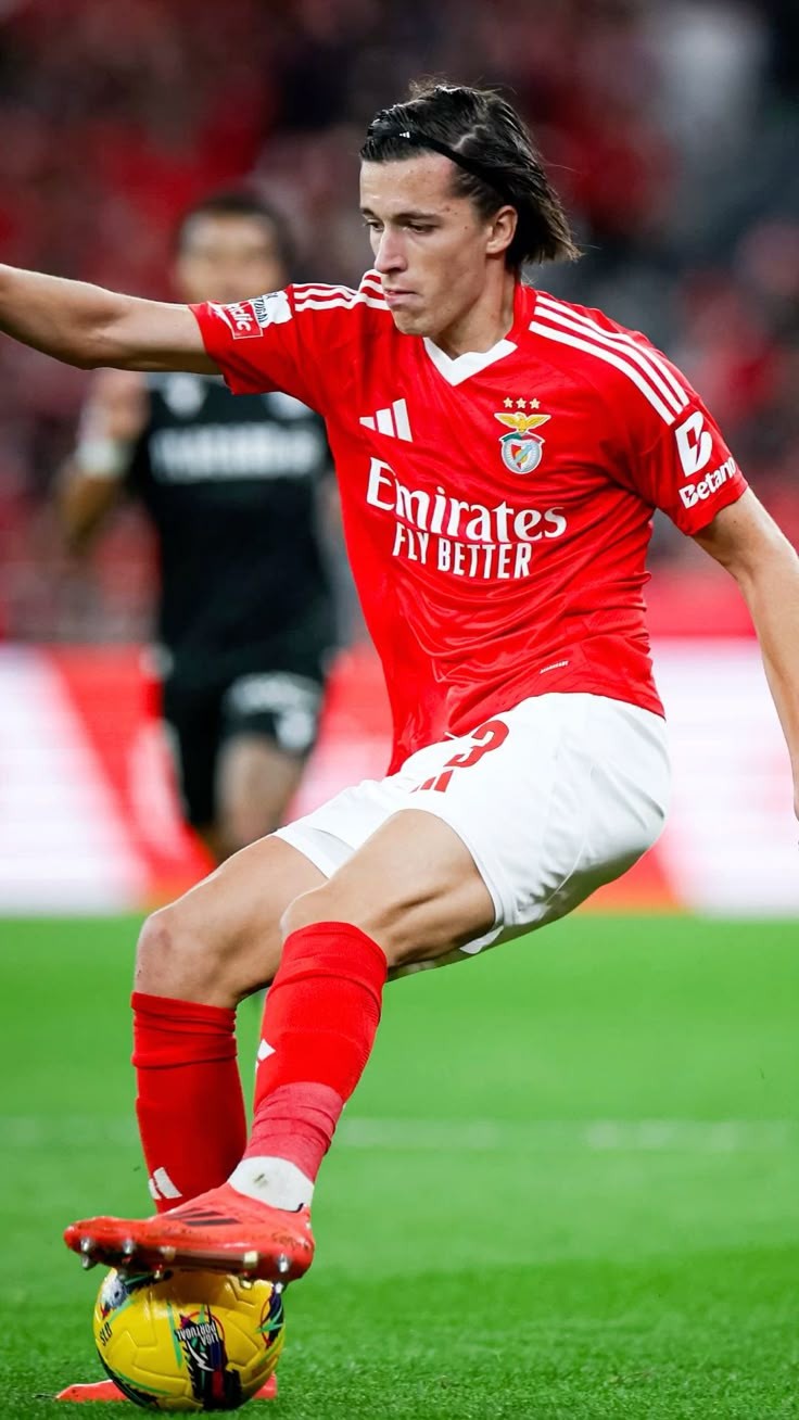 والپیپر آلوارو کارراس برای کامپیوتر والپیپر آلوارو کارراس برای کامپیوتر