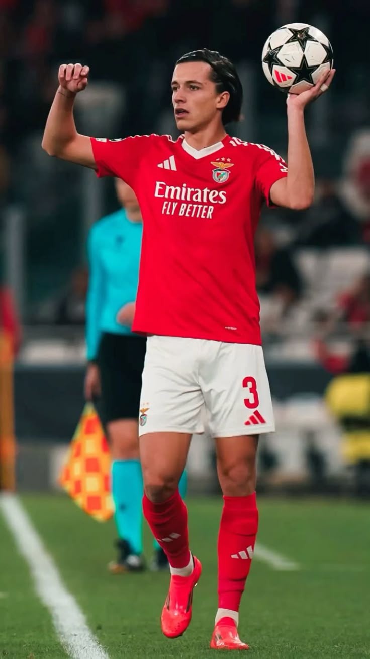 والپیپر آلوارو فرناندز والپیپر آلوارو فرناندز