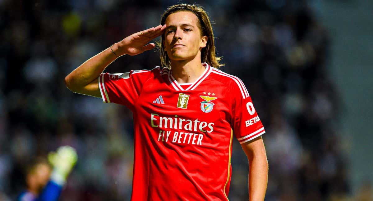 آلوارو فرناندز آلوارو فرناندز