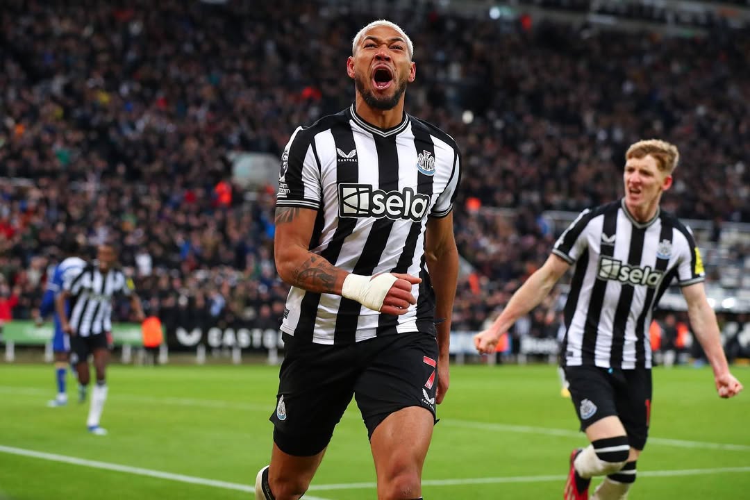 wallpaper hd Joelinton