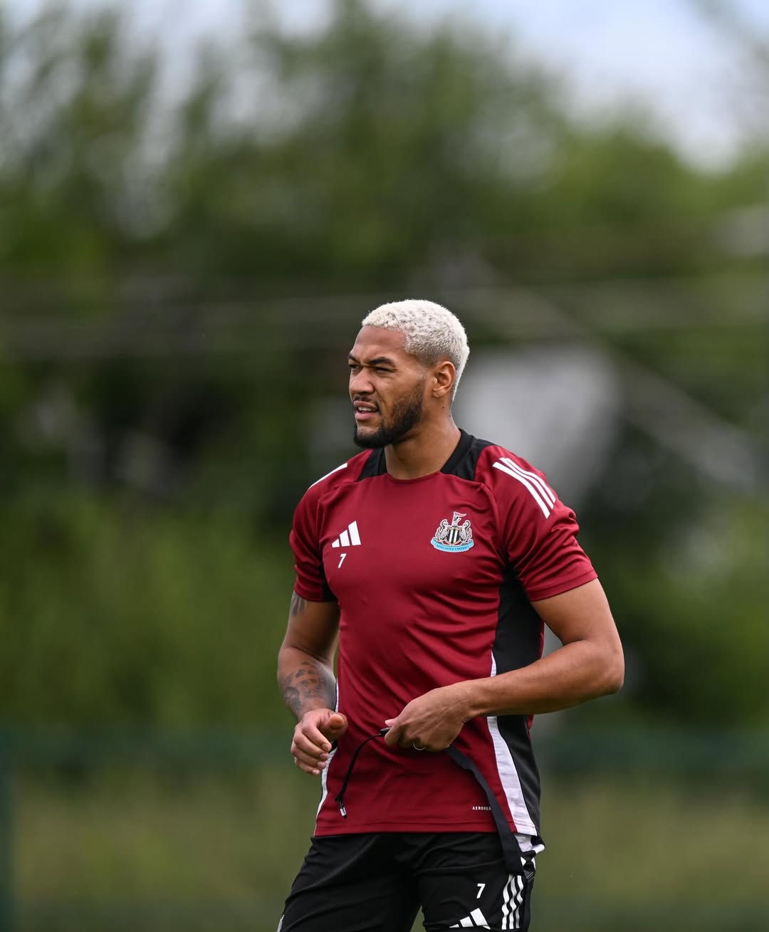 wallpaper 4k Joelinton