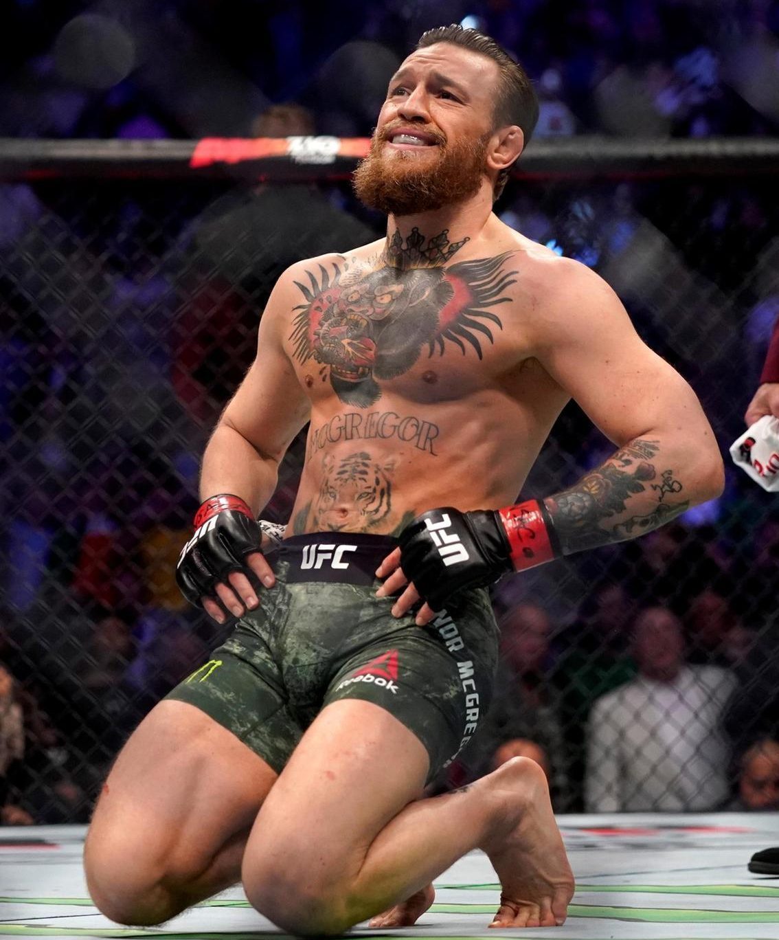 wallpaper 4k Conor McGregor