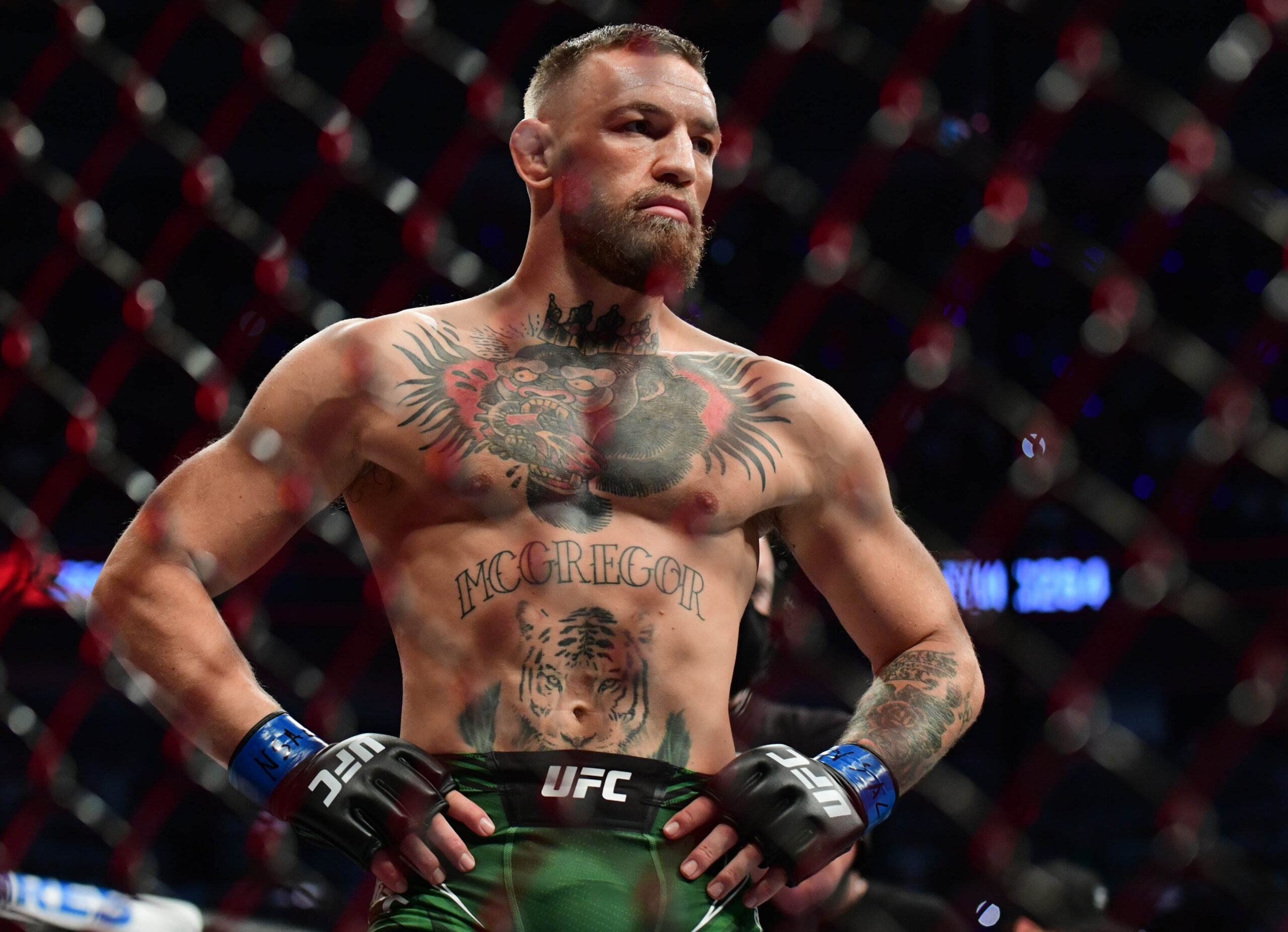  wallpaper for phone Conor McGregor