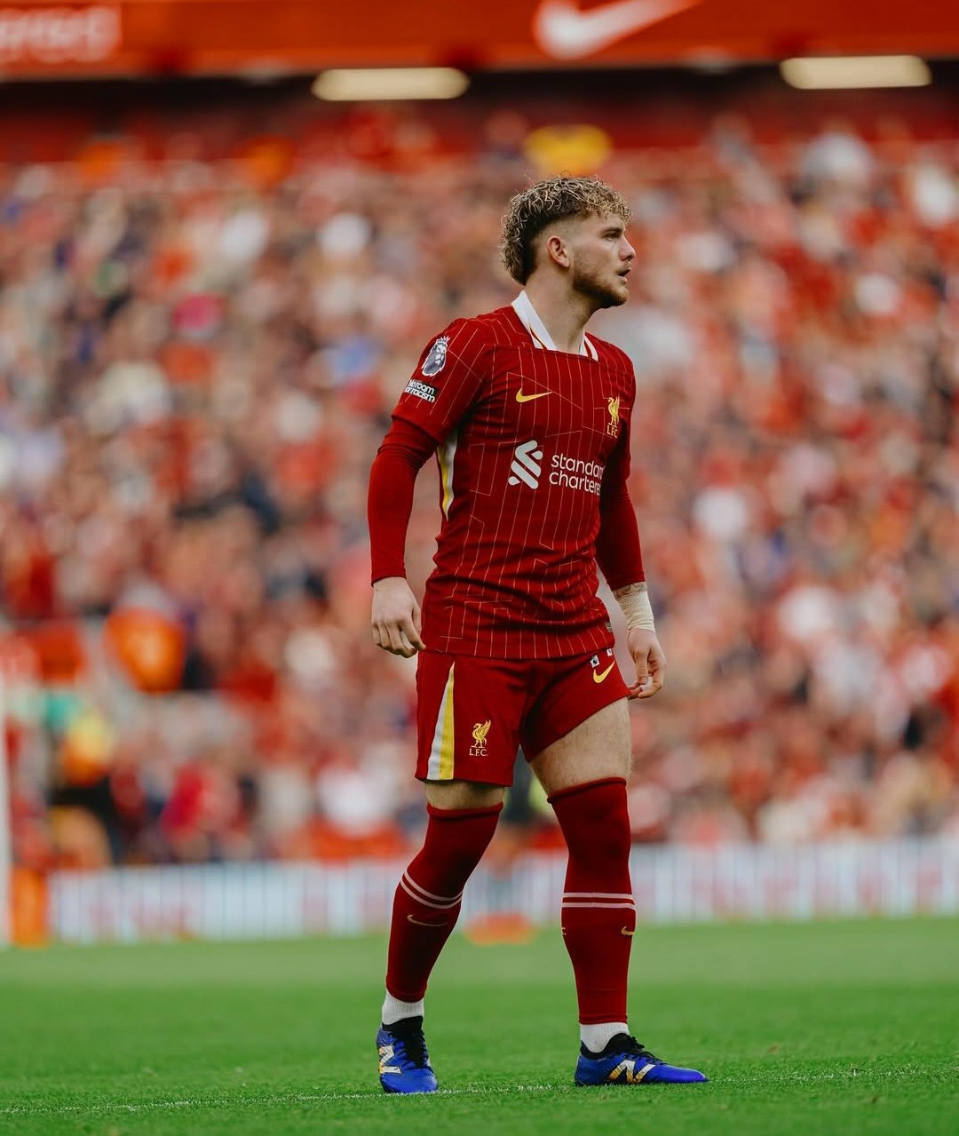 wallpaper 4k Harvey Elliott