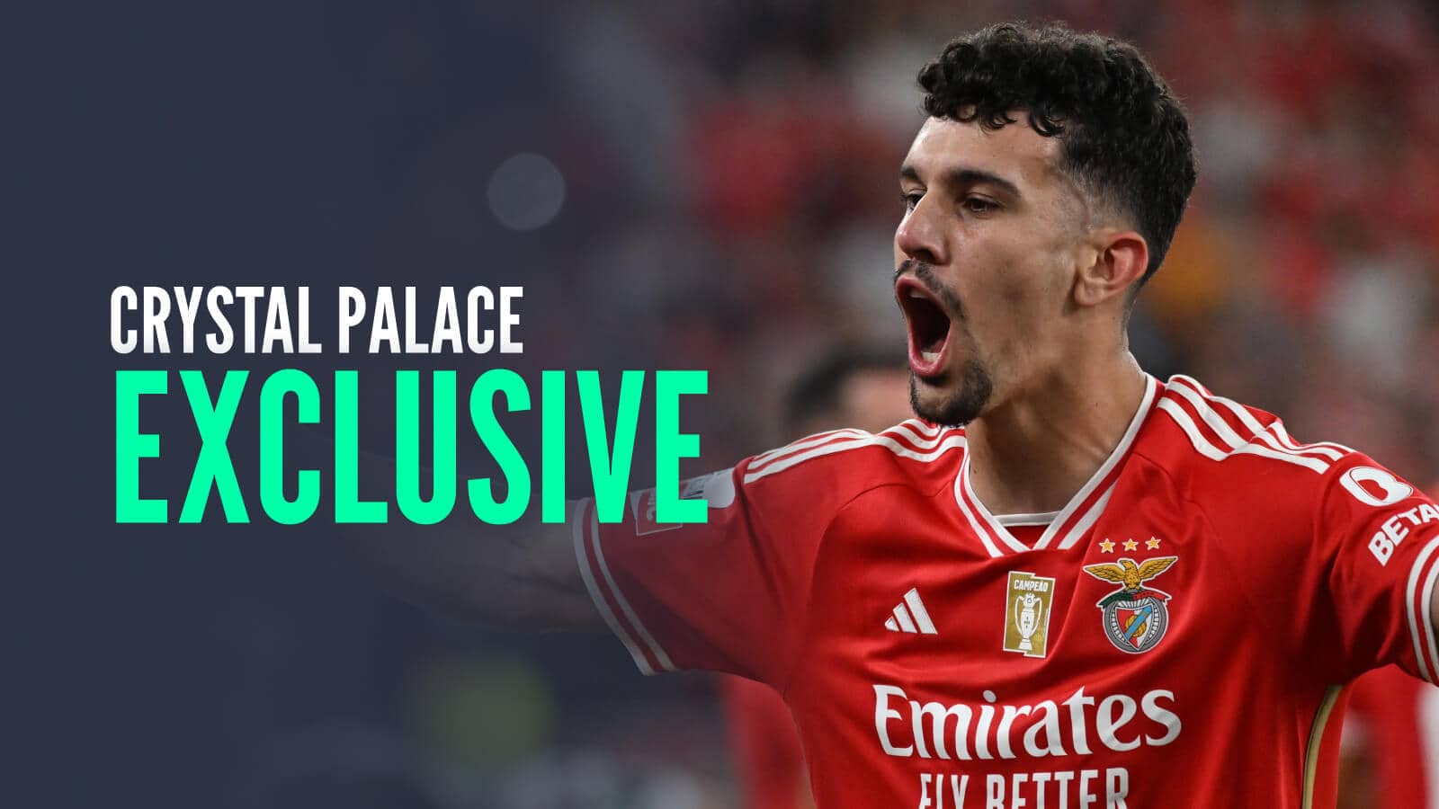 wallpaper 4k Tomas Araujo
