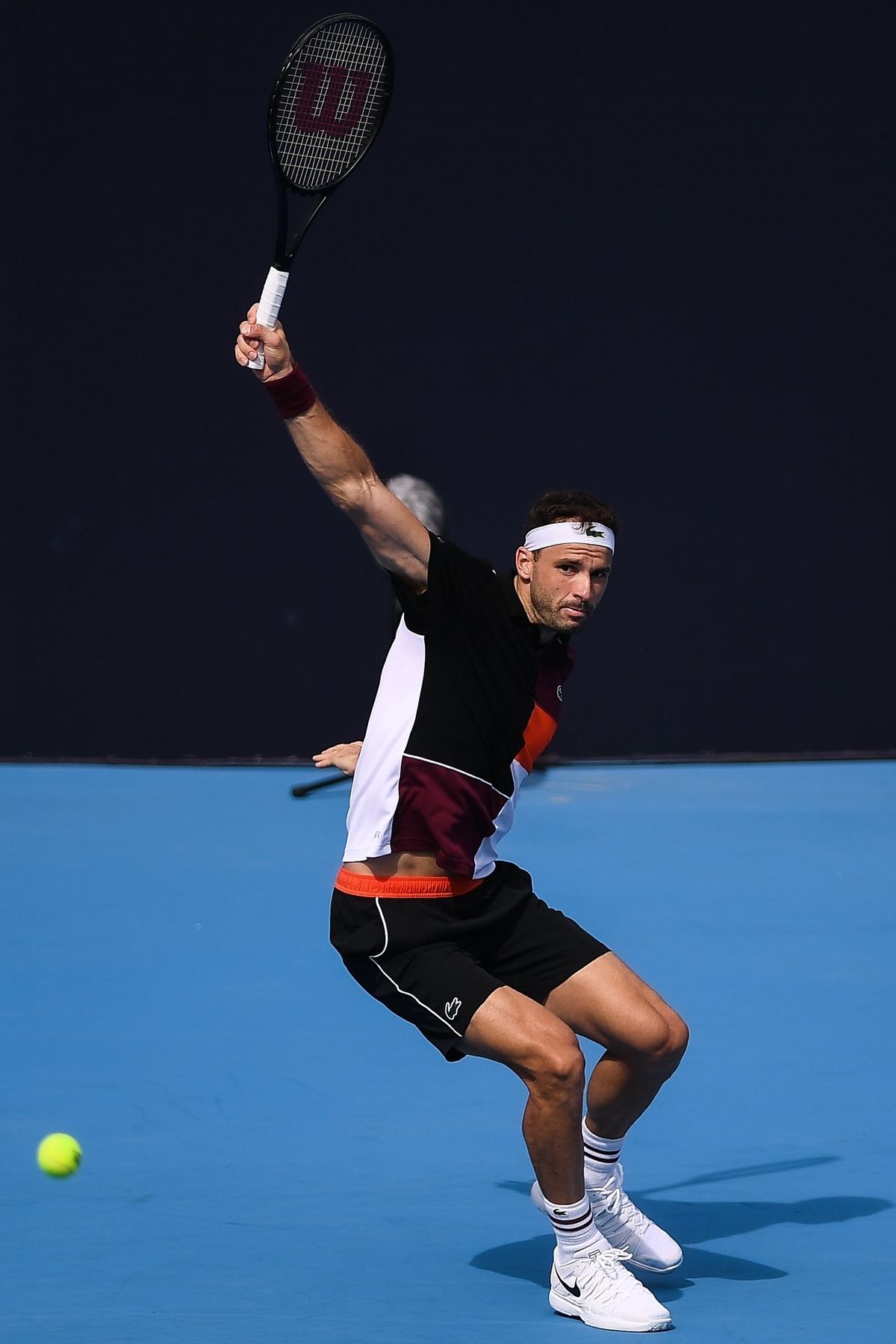 wallpapper Grigor Dimitrov 