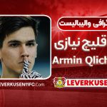 بیوگرافی آرمین قلیچ نیازی