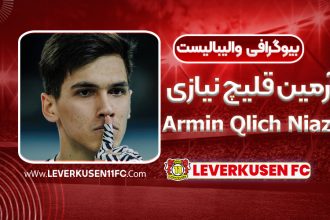 بیوگرافی آرمین قلیچ نیازی