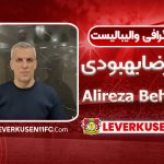 بیوگرافی علیرضا بهبودی