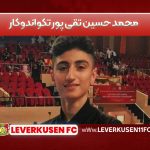 محمد حسین تقی پور تکواندوکار