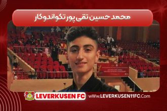 محمد حسین تقی پور تکواندوکار