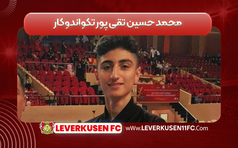 محمد حسین تقی پور تکواندوکار