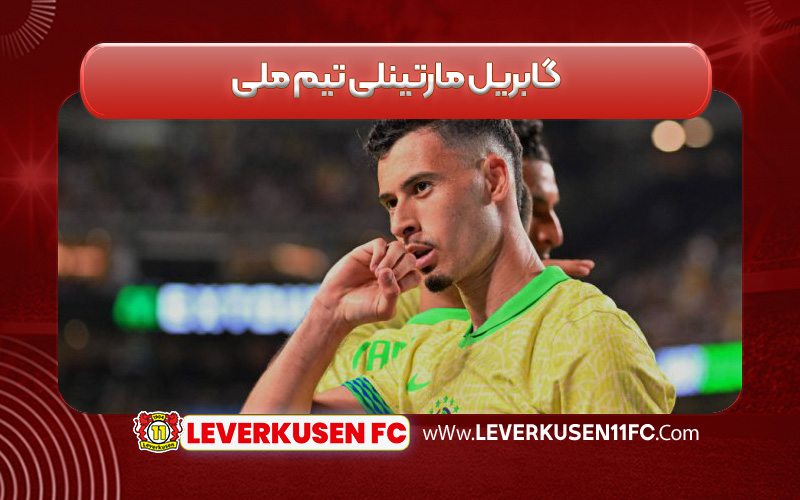 گابریل مارتینلی تیم ملی