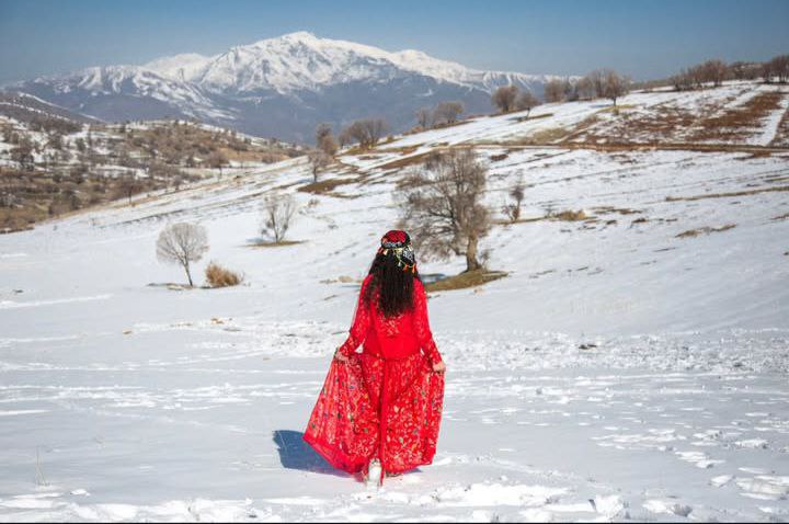 عکس های زیبا از فربد باوه ای