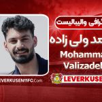 بیوگرافی محمد ولی زاده