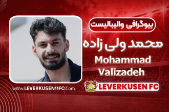 بیوگرافی محمد ولی زاده