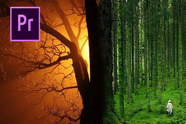  آموزش گام‌به‌گام پریمیر پرو رایگان