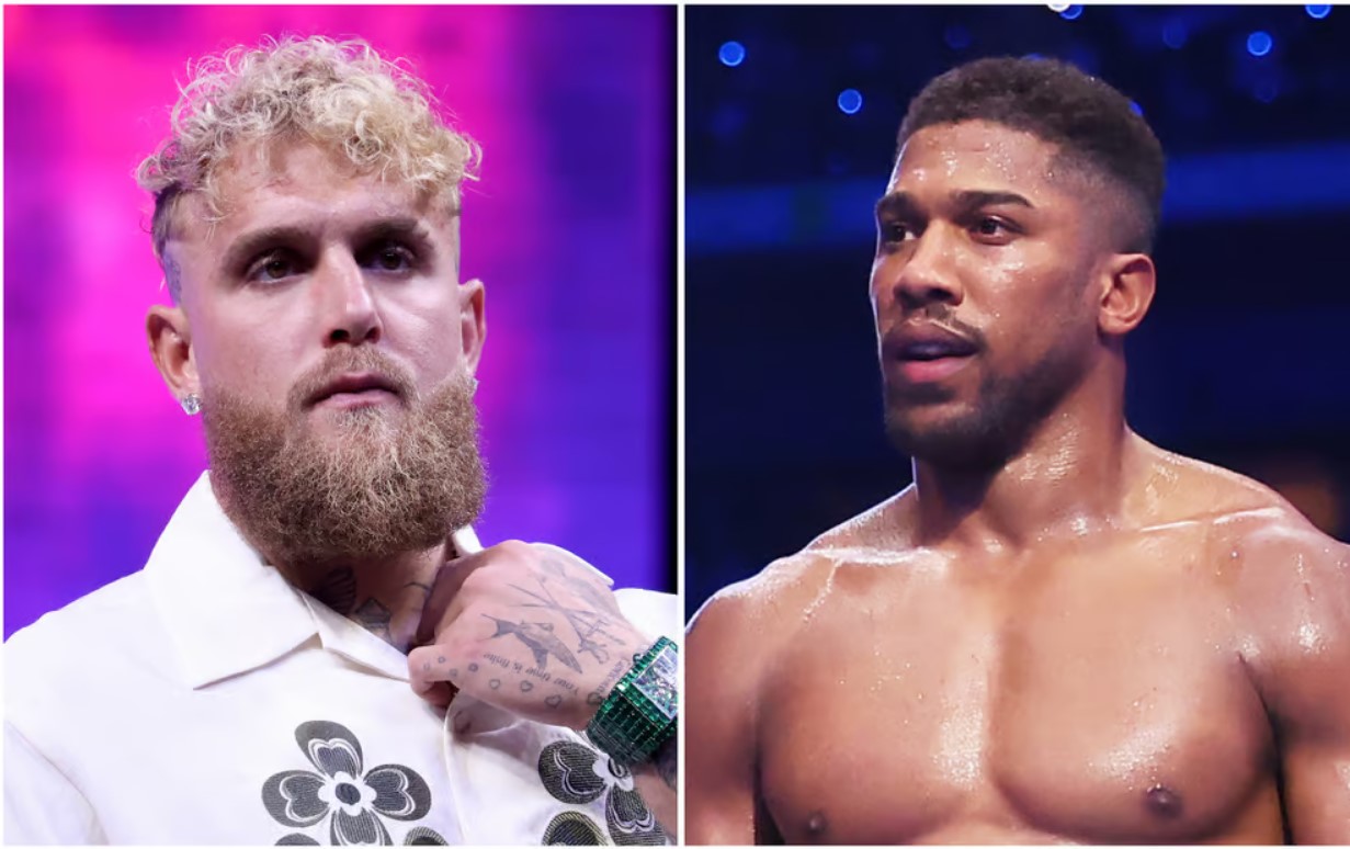 مبارزه سنگینوزن پال و جاشوا