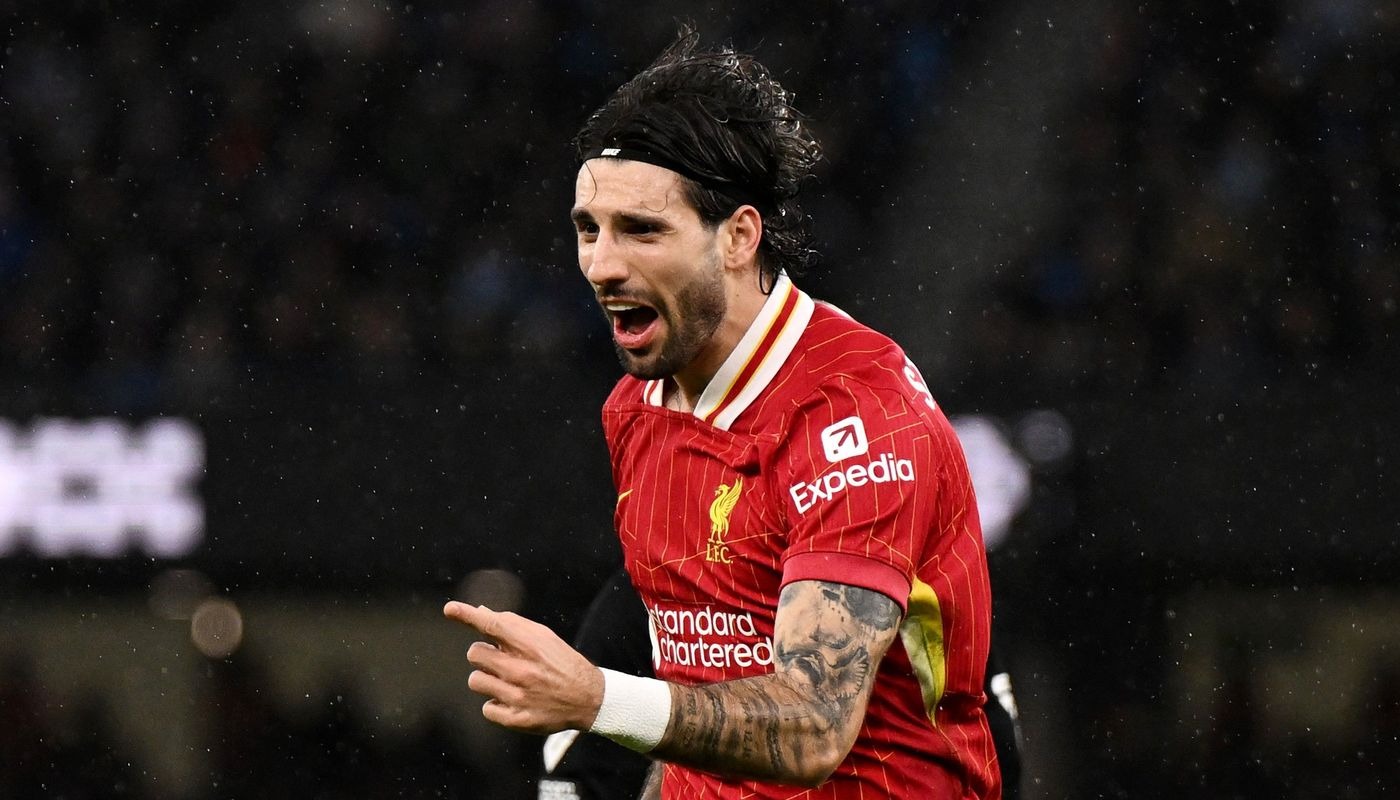 دومینیک سوبوسلای