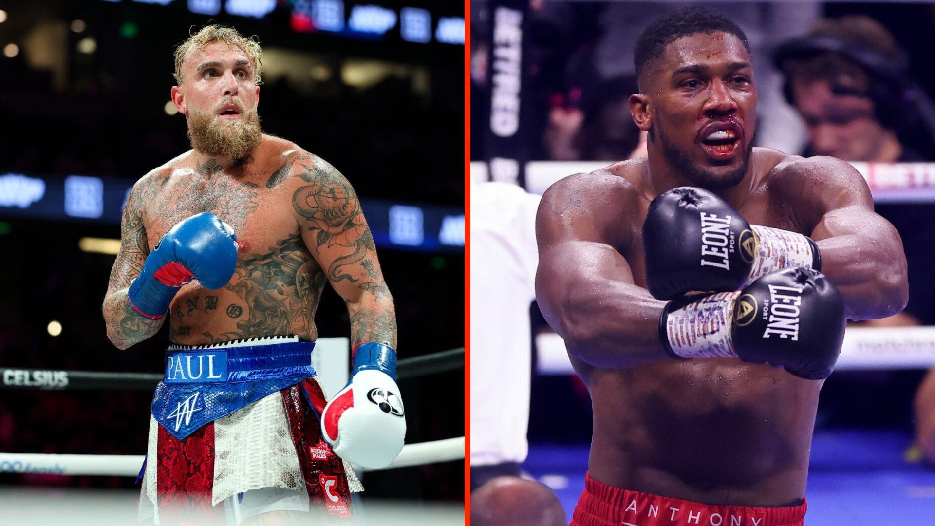 پیشبینیها درباره نبرد پال و جاشوا